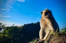 Batur Trekking Sunrise with Breakfast