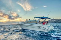 Private Whale Watching on Luxury Yacht in Cabo San Lucas
