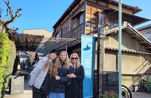 Experience Old and Nostalgic Tokyo: Yanaka Walking Tour