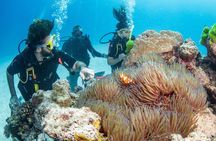 Silverswift Dive and Snorkel Great Barrier Reef Cruise