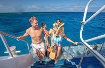 Silverswift Dive and Snorkel Great Barrier Reef Cruise