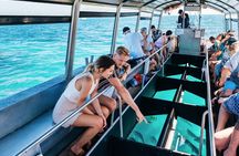 Snorkelling or Glass Bottom Boat at Green Island from Cairns