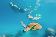 Snorkelling or Glass Bottom Boat at Green Island from Cairns