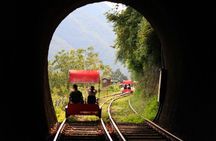 Nami Island & Alpaca World with Gangchon Rail Bike Day Tour