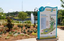 Tallahassee Tranquility: A Scenic Walking Tour