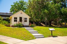 Tallahassee Tranquility: A Scenic Walking Tour