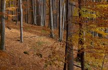Hike in The Central Balkan National Park
