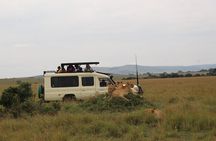 5-Day Private Tour in Kenya's Best Game Parks