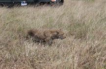 5-Day Private Tour in Kenya's Best Game Parks
