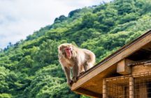 Tokyo to Kyoto 1-Full Day Private Guided Tour