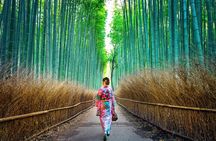 Tokyo to Kyoto 1-Full Day Private Guided Tour