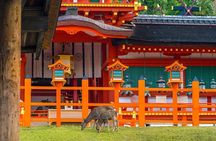 Private Customized 3 Full Days Tour Package: Discover Kyoto, Arashiyama and Nara