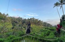 Ubud Higlight - Ubud Highlight holy Water temple on Private Tours