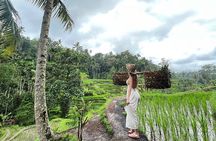 Ubud Higlight - Ubud Highlight holy Water temple on Private Tours