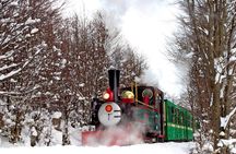 Half-Day Tierra del Fuego National Park with Train