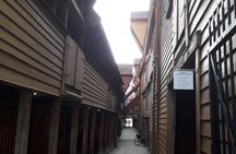 Bergen: Local food tasting & Excursion with a city view from the top