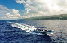 Super-Raft Snorkeling Experience in Kailua-Kona