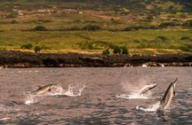 Super-Raft Snorkeling Experience in Kailua-Kona