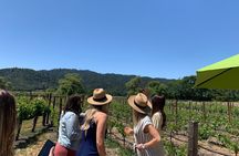 Wine Tour Pros - Napa Wine Tour: SUV Up To 6 Guests