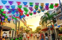 FANTASTIC ADVENTUROUS COMBO: Tour to Tulum Ruins, Coba Ruins and Mayan Cenote! 