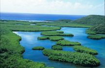 Sunset Kayak Tour in the Mangrove Lagoon, St Thomas