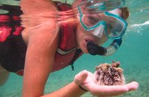 Cas Cay - Kayak Hike and Snorkel Adventure