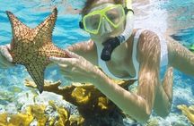 Private Boonze cruise and Snorkeling at Punta cana