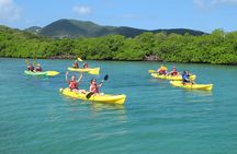 St Thomas Shore Excursion: Mangrove Lagoon Kayak and Snorkel Tour
