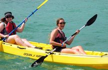 St Thomas Mangrove Lagoon Kayak and Snorkel Tour in the US Virgin Islands
