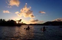 Sunset Kayak Tour in the Mangrove Lagoon, St Thomas