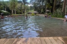 YS Falls, Black River Safari, Appleton Rum Tour OR Pelican Bar (Choose Up to 3)