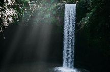 Ubud Hidden Waterfalls and Rice Terrace Tours
