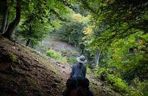 Horseback Riding Around Tsovakar Mountain