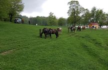 Horseback Riding Around Tsovakar Mountain