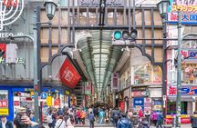 Private Cultural Walking Tour in Osaka Historic Heritage