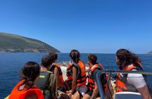 Vlore Private Speedboat Tour to Sazan Island and Haxhi Ali Cave