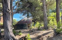 Vlore Private Speedboat Tour to Sazan Island and Haxhi Ali Cave
