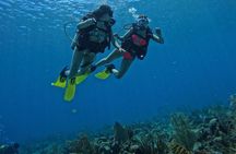 Private Diving Experience for Beginners in San Andres Islands