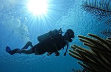 Private Diving Experience for Beginners in San Andres Islands