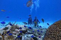 Private Diving Experience for Beginners in San Andres Islands