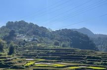 Ninh Binh - Pu Luong | Best Optional Choices | 3 - 4 days Tours