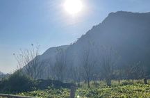 Ninh Binh - Pu Luong | Best Optional Choices | 3 - 4 days Tours