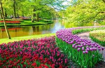 Private Keukenhof Park & Tulip Fields Tour from Rotterdam