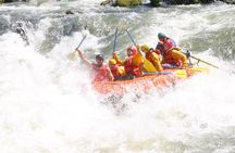 Rogue River Whitewater- Morning Rafting Adventure