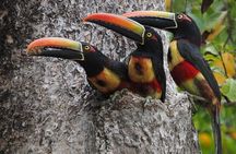 Manuel Antonio National Park Guided Tour