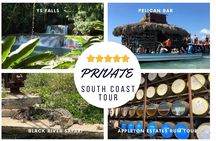 YS Falls, Black River Safari, Appleton Rum Tour OR Pelican Bar (Choose Up to 3)