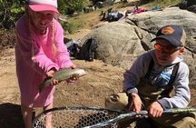 Family Fun Private Half Day Fly Fishing Adventure