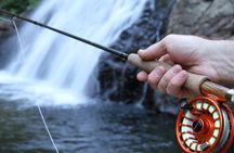 Family Fun Private Half Day Fly Fishing Adventure