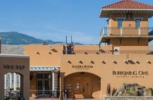 Oliver & Osoyoos Private Wine Tour - Half Day