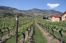 Oliver & Osoyoos Private Wine Tour - Half Day